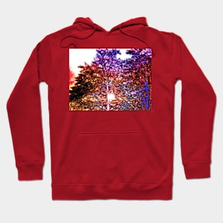 Colorful Sunset Hoodie